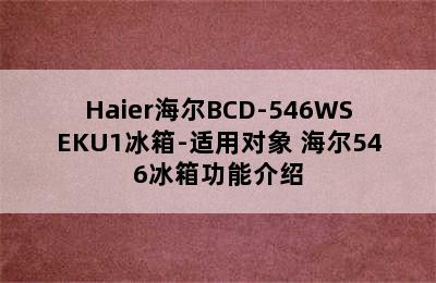 Haier海尔BCD-546WSEKU1冰箱-适用对象 海尔546冰箱功能介绍